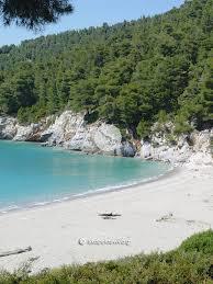 Καστάνι