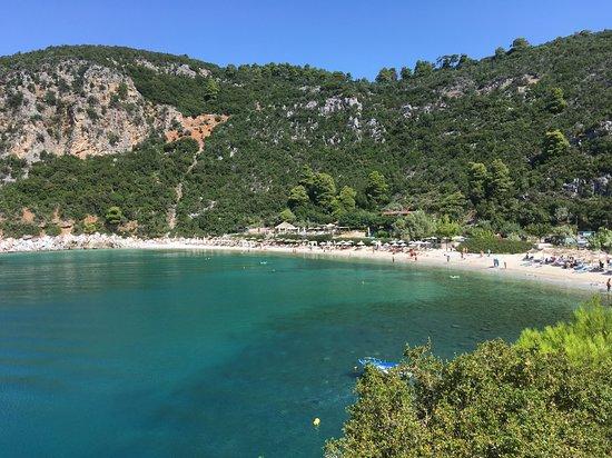 Λιμνονάρι