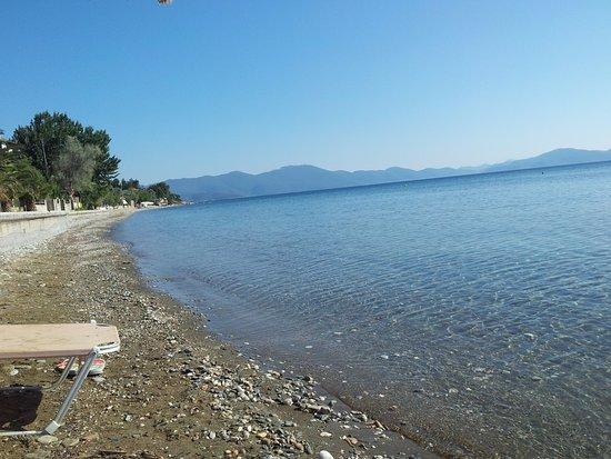 Δημοτική Παραλία Αμποβός